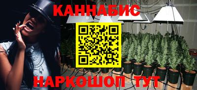 тгк Канаш