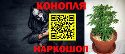 тгк Канаш
