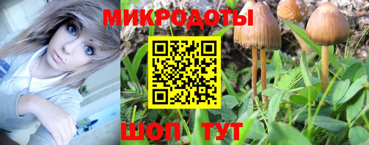 Галлюциногенные грибы прущие грибы Кстово